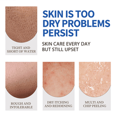 Glam & Curious | Body Cream with Niacinamide + Even Tone for Dark Spots and Uneven Tone - Glam & Curious