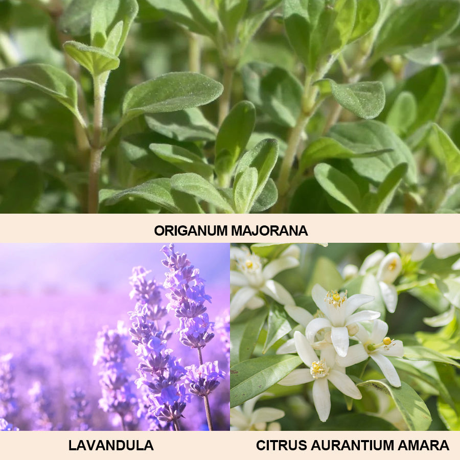 Soothing Sleep & Eye Strain Relief Oil – Natural Calming Formula for Deep Rest & Relaxation - Glam & Curious